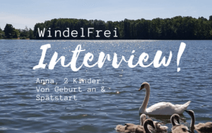 WindelFrei Erfahrungen - Titelbild zur Interviewreihe, Schriftzug. Seeblick, ein Schwan mit Jungen im Vordergrund und glitzernde Wellen
